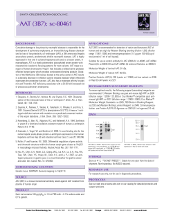 AAT (3B7): sc-80461 - Santa Cruz Biotechnology