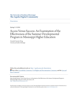 access versus success: an examination of the effectiveness of the