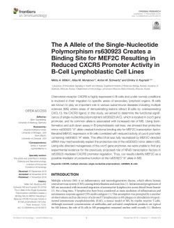 The A Allele of the Single-Nucleotide Polymorphism rs630923