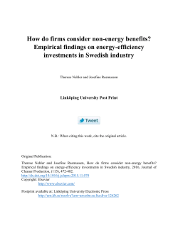 How do firms consider non-energy benefits? Empirical findings on