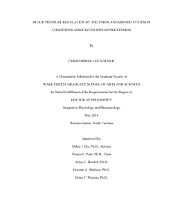 BLOOD PRESSURE REGULATION BY THE ENDOCANNABINOID
