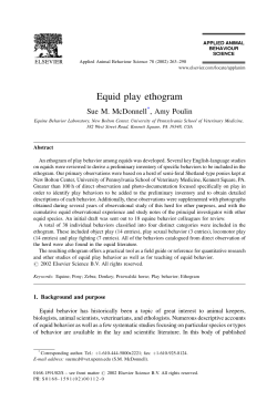 Equid Play Ethogram