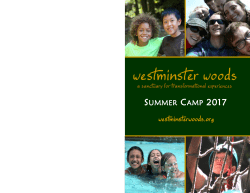 to view the Summer Camp brochure