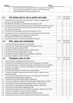 Nat 4 Cell Biology Success Criteria