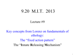 Lecture 9 Notes: Lorenz on fundamentals of