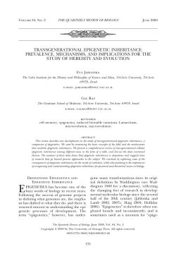 as a PDF