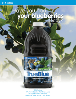 Information Sheet - Leading Brands, Inc