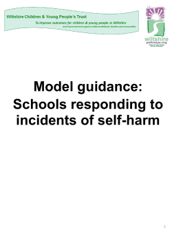 Model guidance: Schools responding to incidents of self-harm