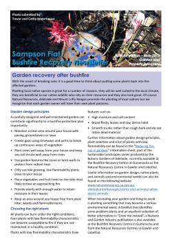 Sampson Flat Bushfire Recovery Newsletter