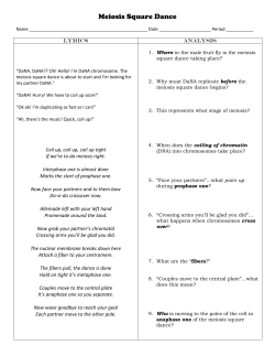 Meiosis Square Dance