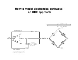 How to model biochemical pathways