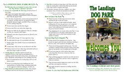 Dog Park Tri-Fold Brochure