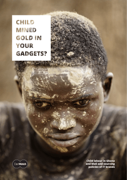 Child labour in Ghana and Mali and sourcing policies of IT brands