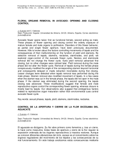 Floral Organs Removal in Avocado: Opening And Closing Control