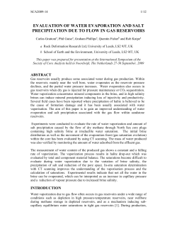 2009: Evaluation of Water Evaporation and Salt Precipitation Due to