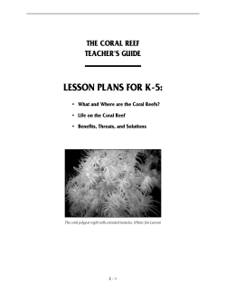 lesson plans for k-5
