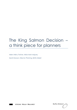 The King Salmon Decision &ndash; a think piece for planners
