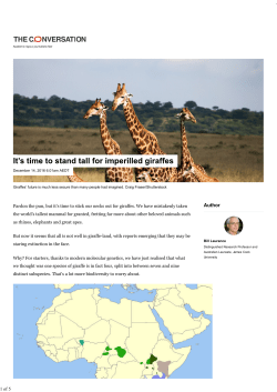 It`s time to stand tall for imperilled giraffes