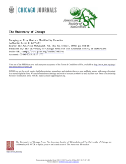 The University of Chicago