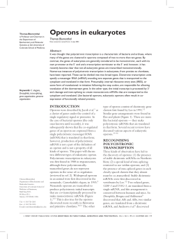 Operons in eukaryotes