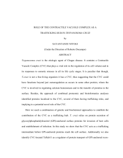 ROLE OF THE CONTRACTILE VACUOLE COMPLEX AS A