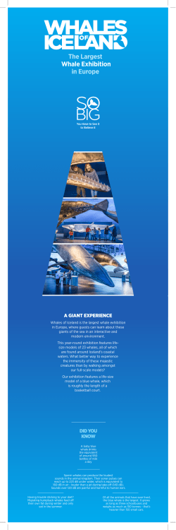 The Largest Whale Exhibition in Europe