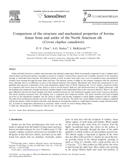 Comparison of the structure and mechanical properties of bovine