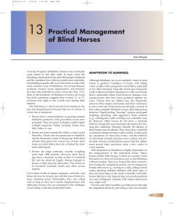13 Practical Management of Blind Horses
