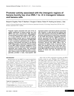 Promoter activity associated with the intergenic regions of banana