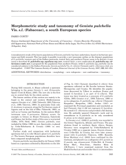 Morphometric study and taxonomy of Genista pulchella Vis. s.l.