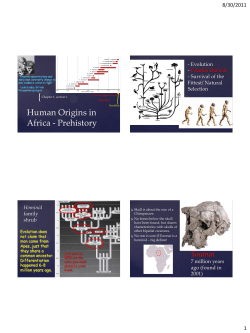 Human Origins in Africa