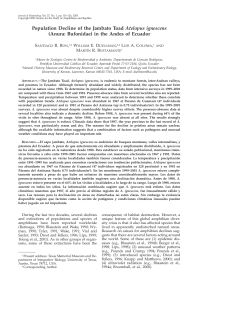 Population Decline of the Jambato Toad Atelopus ignescens