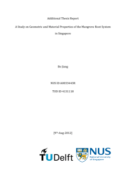 Additional Thesis Report A Study on Geometric and Material