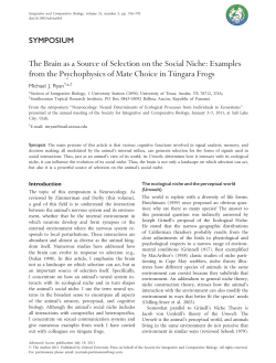 The Brain as a Source of Selection on the Social Niche: Examples