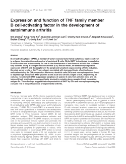 Expression and function of TNF family member B cell