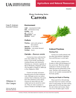 Carrots - Home Gardening Series - FSA6064