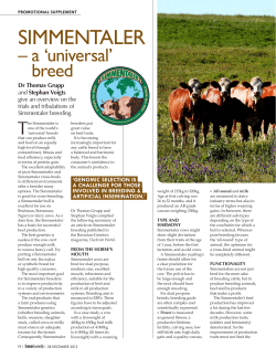 Simmentaler SA