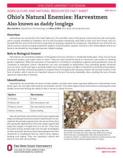 Ohio`s Natural Enemies: Harvestmen