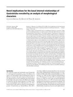 Novel implications for the basal internal