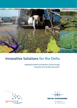 Innovative Solutions for the Delta