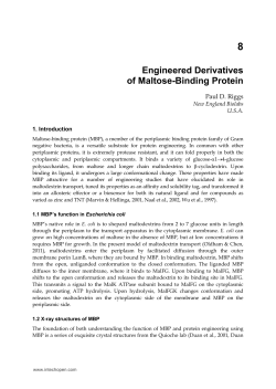 Engineered Derivatives of Maltose-Binding Protein