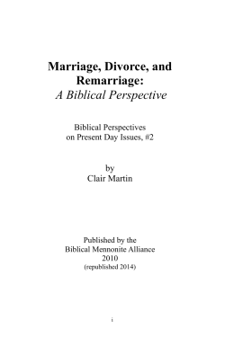 Marriage, Divorce, and Remarriage