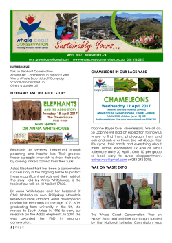 ELEPHANTS AND THE ADDO STORY CHAMELEONS IN OUR