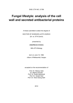Fungal lifestyle: analysis of the cell wall and secreted antibacterial