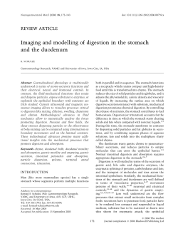 Imaging and modelling of digestion in the stomach and the duodenum