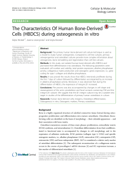 The Characteristics Of Human Bone-Derived Cells