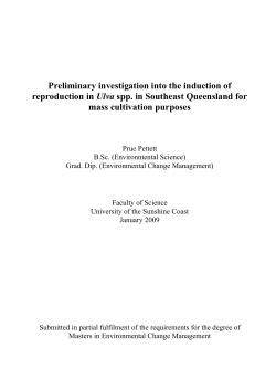 Preliminary investigation into the induction of reproduction in Ulva spp