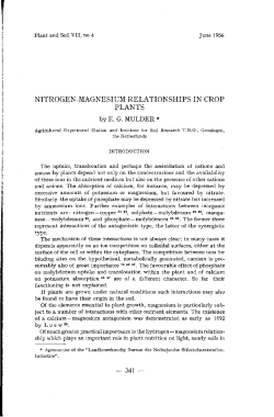 NITROGEN-MAGNESIUM RELATIONSHIPS IN CROP PLANTS by