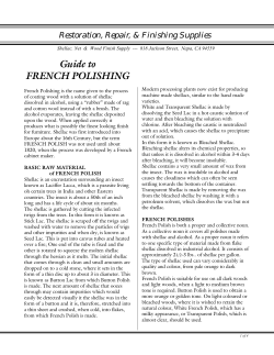 Guide to French Polishing