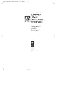 summary: human development report 2004